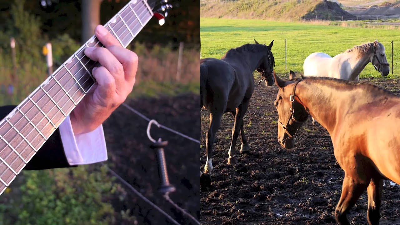 Andreas Cisek - Spaziergang mit Chet Atkins
