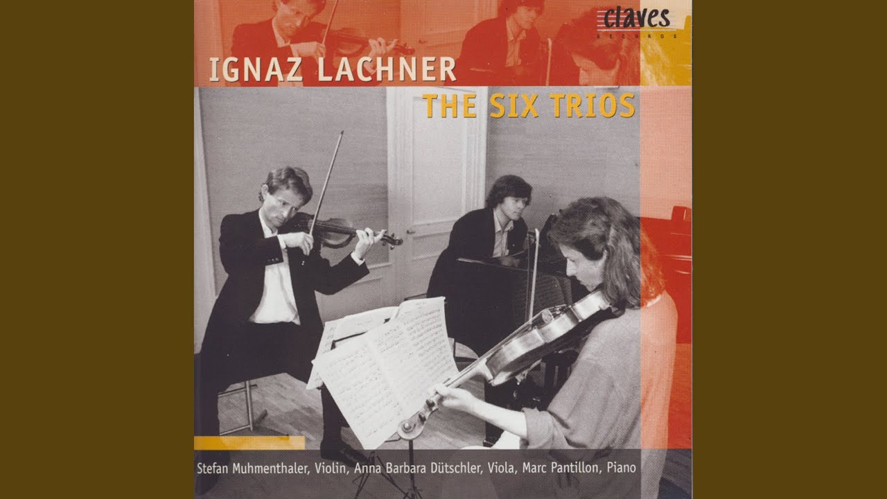 Trio in G Major, Op. 45: I. Allegro Moderato