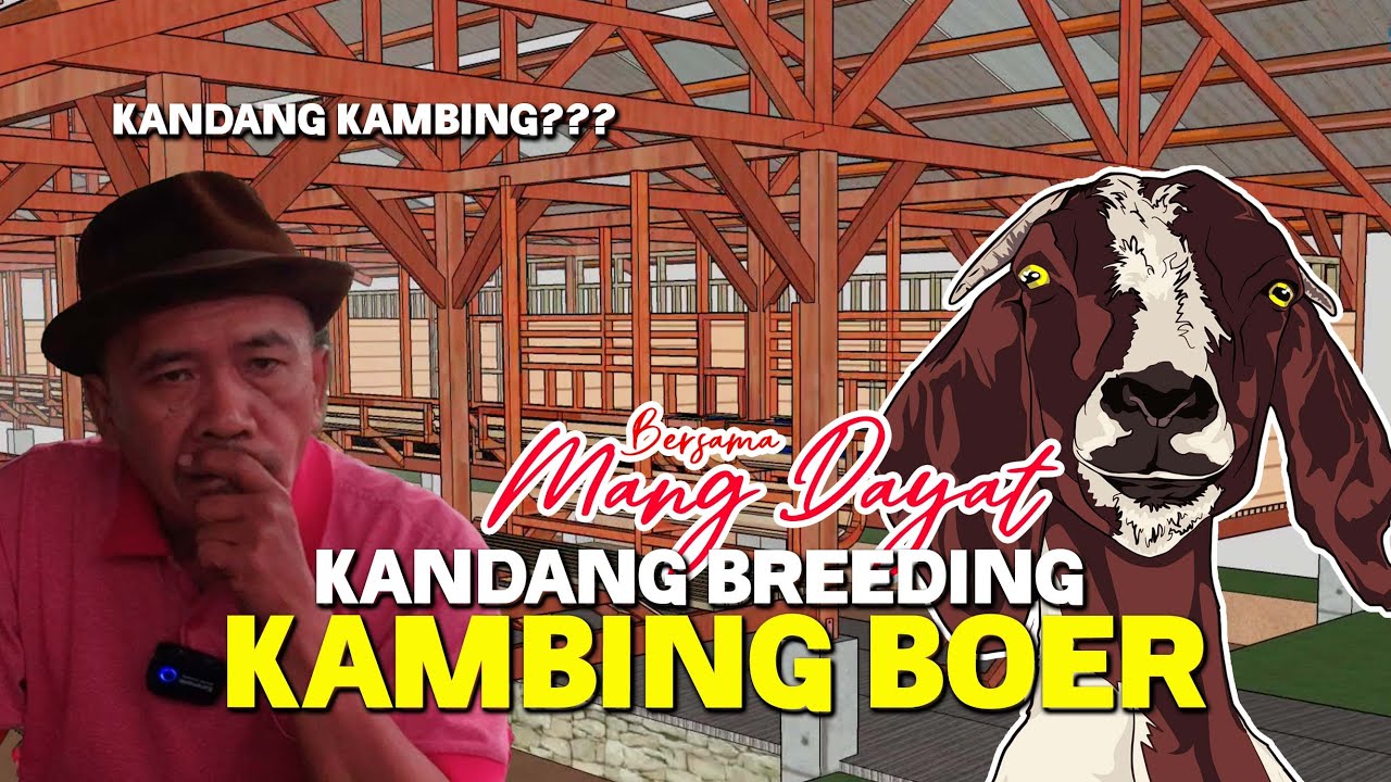 #013 - MS. GOFARM | KONSEP KANDANG BREEDING KAMBING BOER | PART 1 - 3
