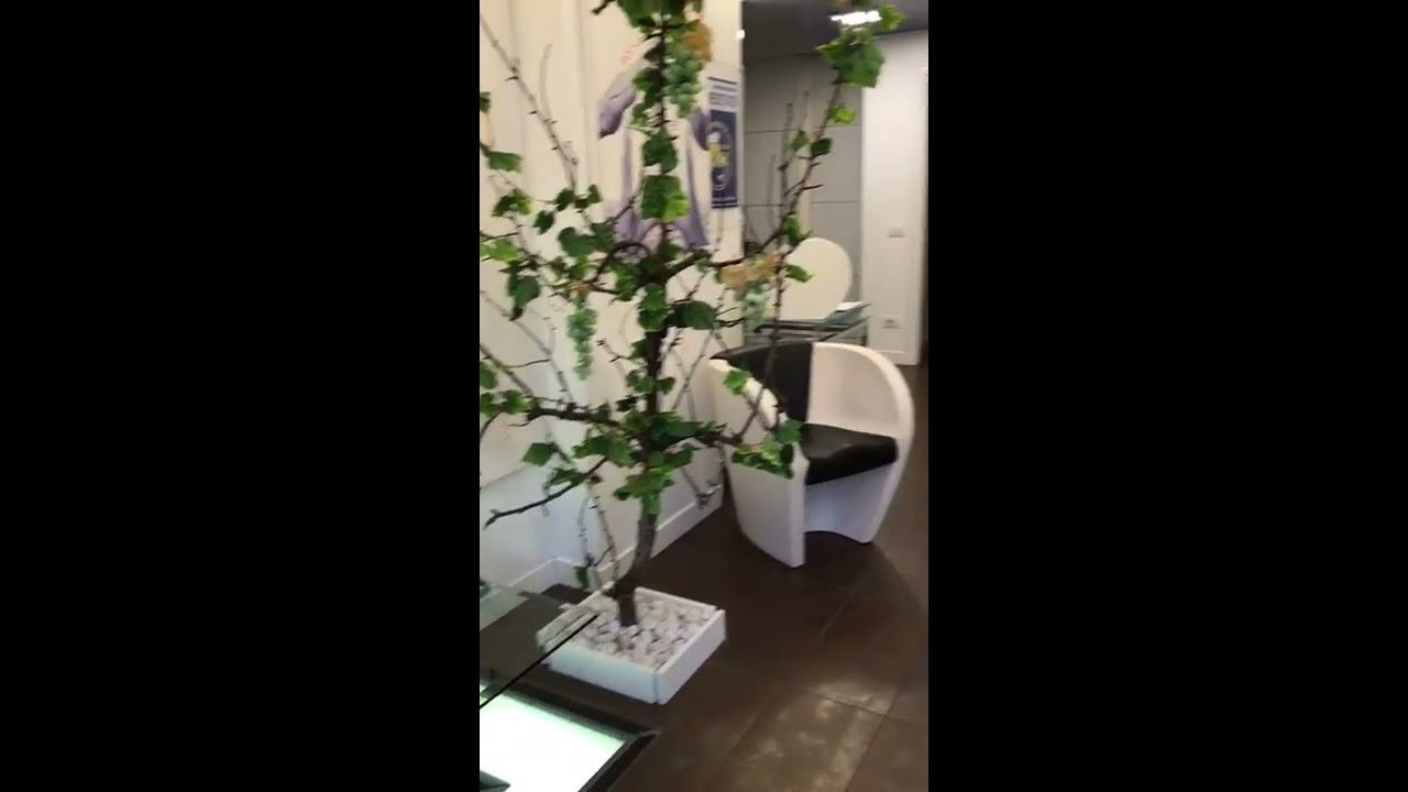 Casaplanet Agenzia Immobiliare Monteverde
