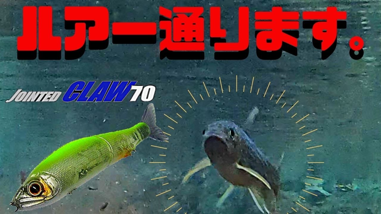 【水中映像】イワナの目の前にルアー通す。【渓流ルアー】