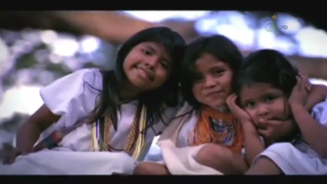 Comercial Navidad COMCEL 1994-2011 | TvColRD.