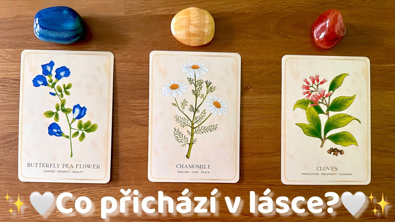 ✨💖Vývoj v lásce a milostném životě…💙💛❤️🦋