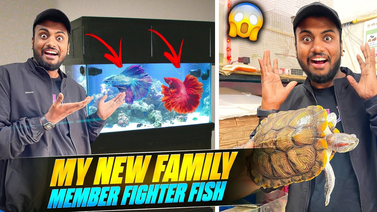 My New Family Member 😱 Fighter Fish & I Saw Biggest Turtle 😱