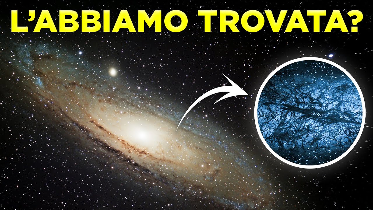 Dopo 100 ANNI abbiamo TROVATO la MATERIA OSCURA