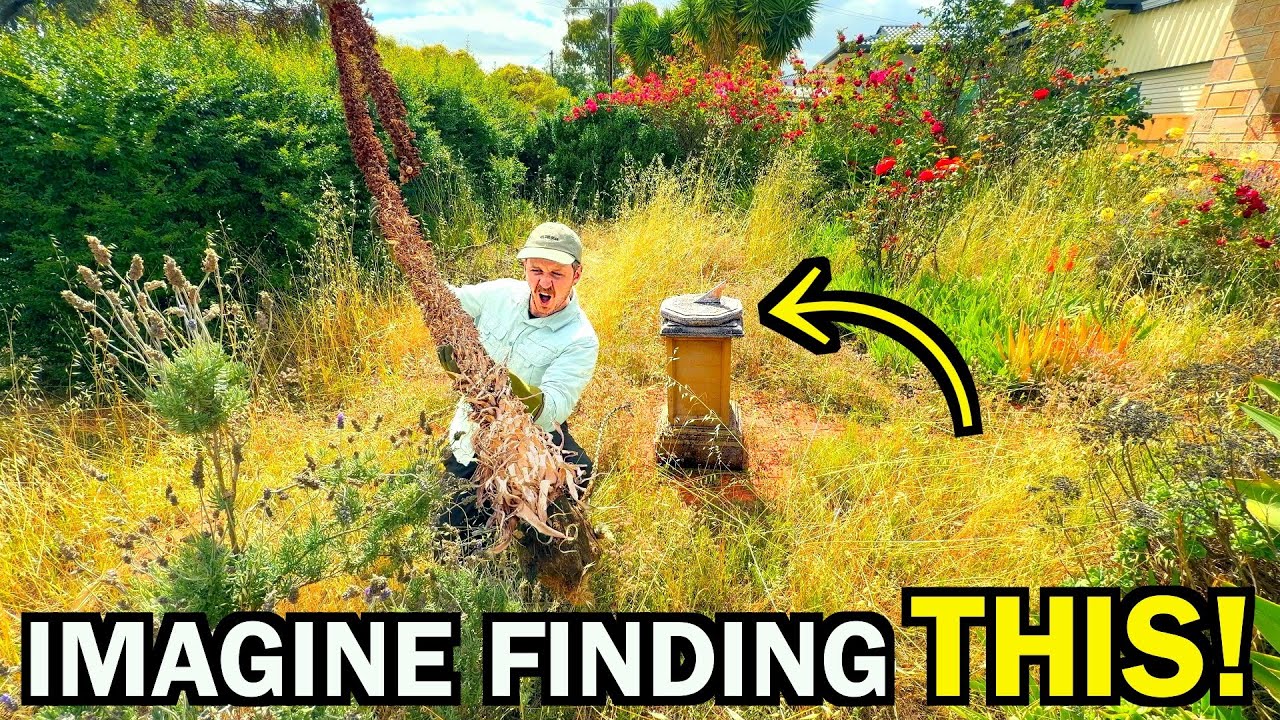 A Secret Which Was HIDDEN In Her Yard For YEARS – UNREAL Discovery!