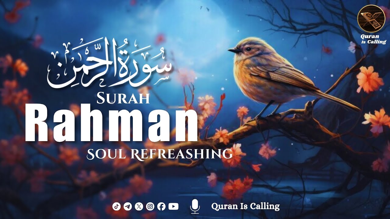 Surah Rahman (Ar-Rahman) سورة الرحمن | Deep Sleep Healing Heart Touching Quran Recitation