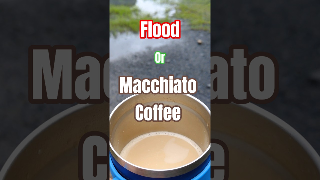 I Just Wanted Coffee&hellip; But the Garden&rsquo;s Flooded Again!