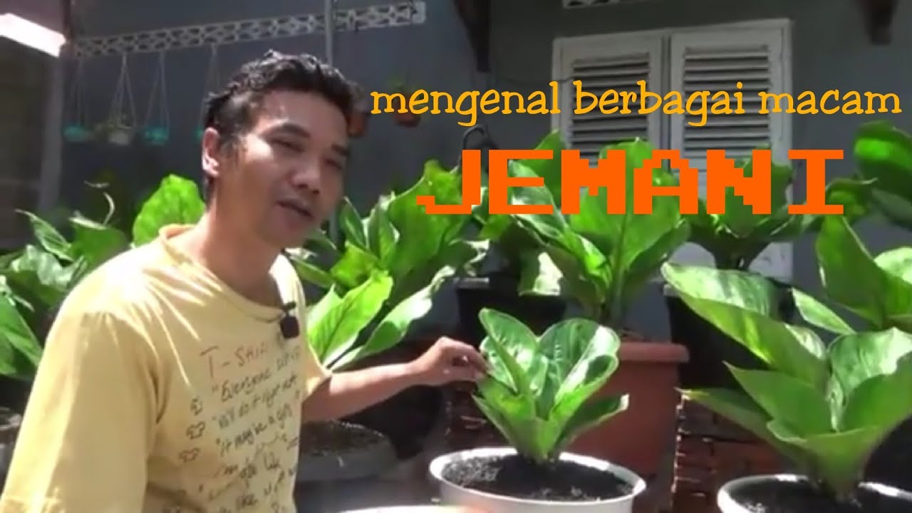 KOLEKSI JEMANI part #2 (Samping Rumah Garden)