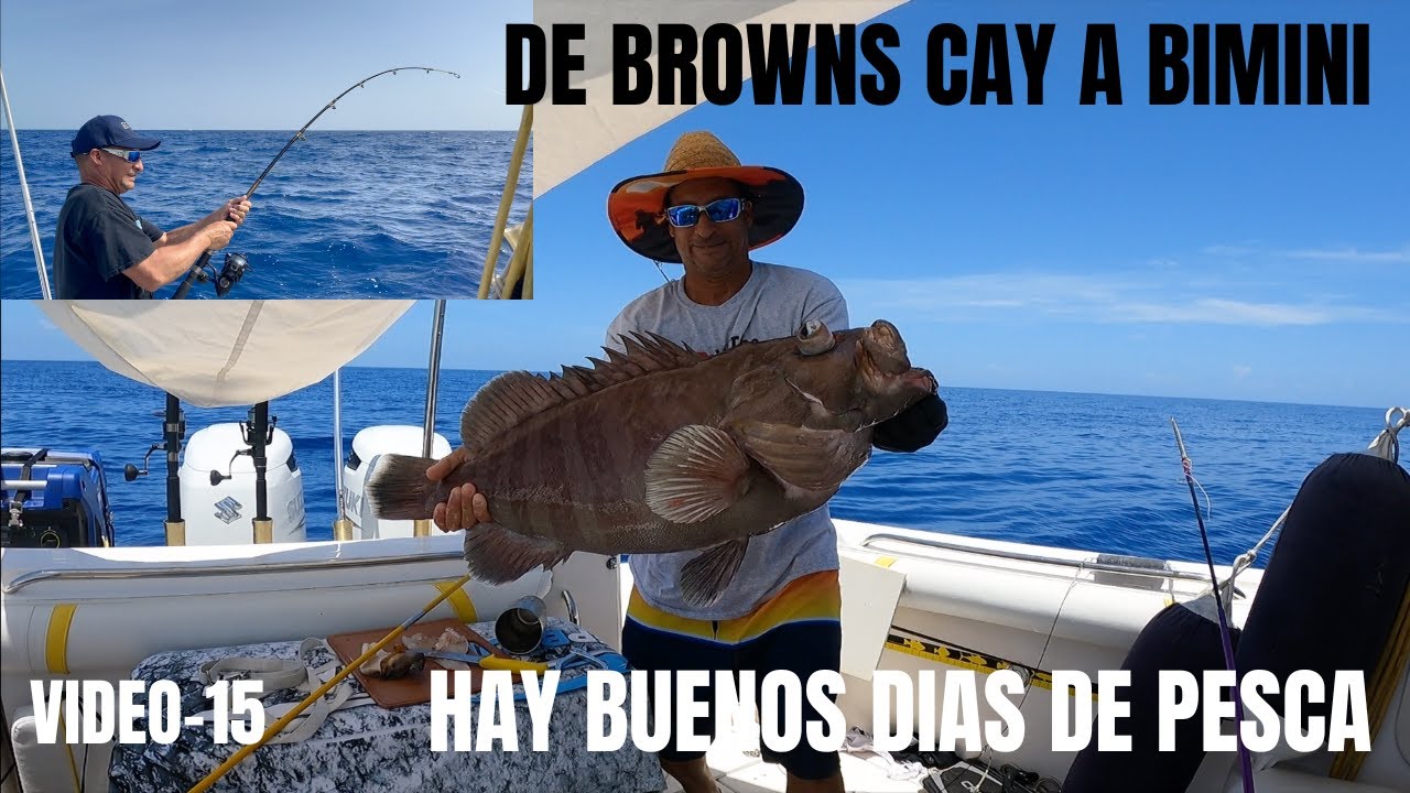 VIDEO-15🎣DE 🏝BROWNS 😁🐟CAY A BIMINI 🇧🇸