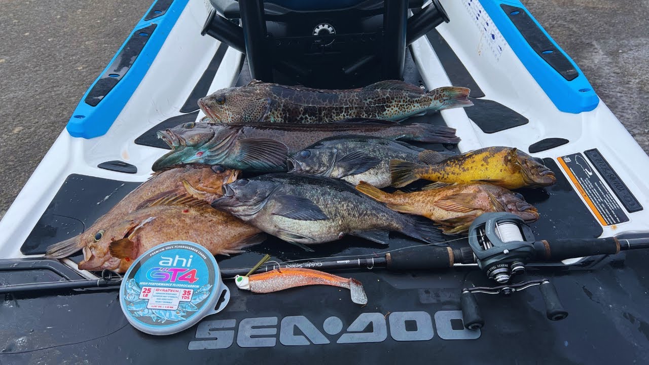 I drove 4 hours to Morro Bay to catch LINGCOD! (Catch and Cook)
