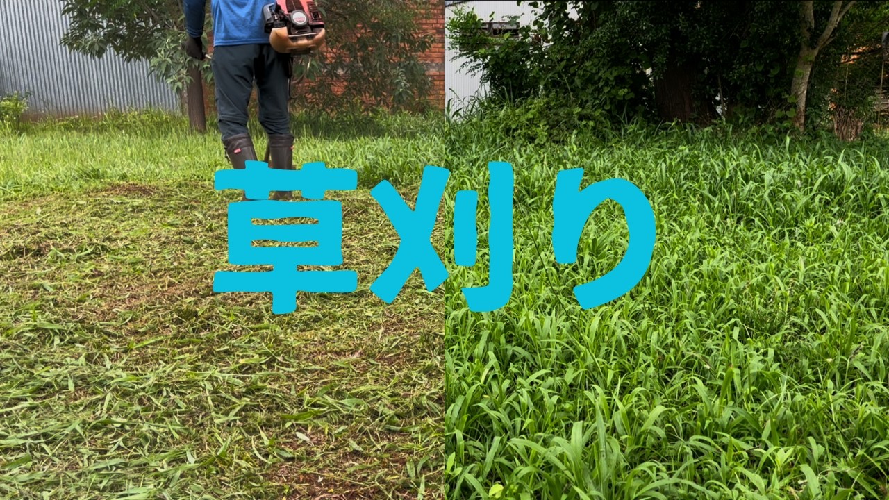 友人の家の草刈りをしました。夏の草刈り暑すぎ！！
