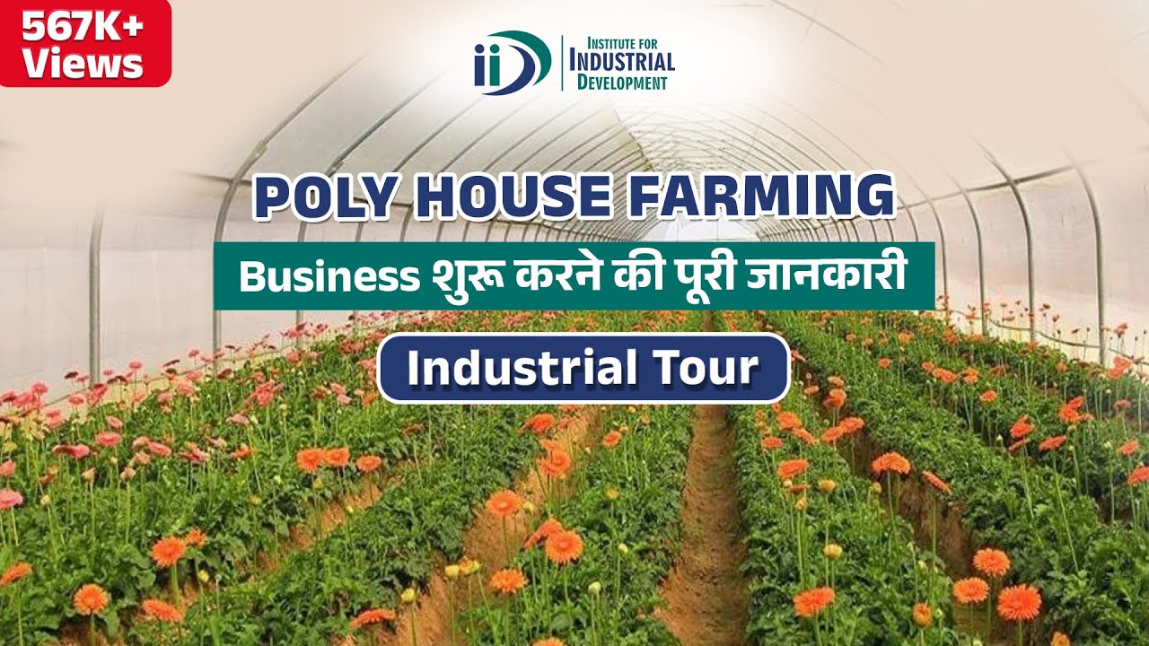 पॉली हाउस की खेती कैसे करें | How To Start Poly House Farming
