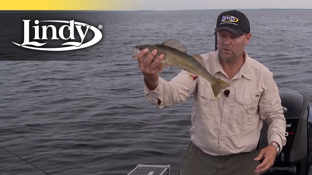 Mid-Summer Lindy Rigging