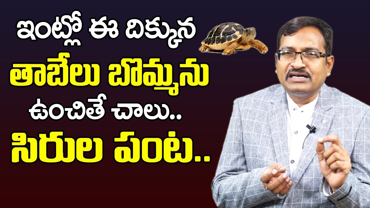 Tortoise Vastu Telugu | Vastu for Tortoise Idol at Home in Telugu |Best Vastu tips for Home | M QUBE