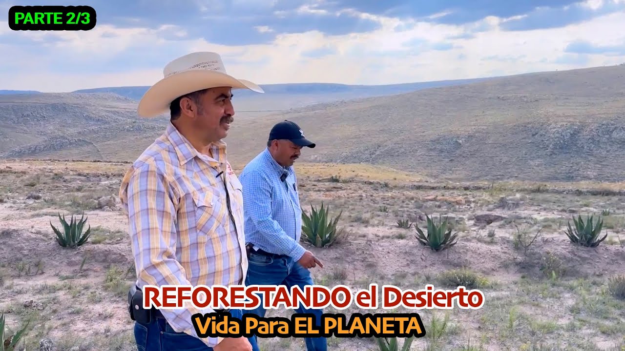 LA INCREÍBLE HISTORIA DE UN MIGRANTE su vida después del norte