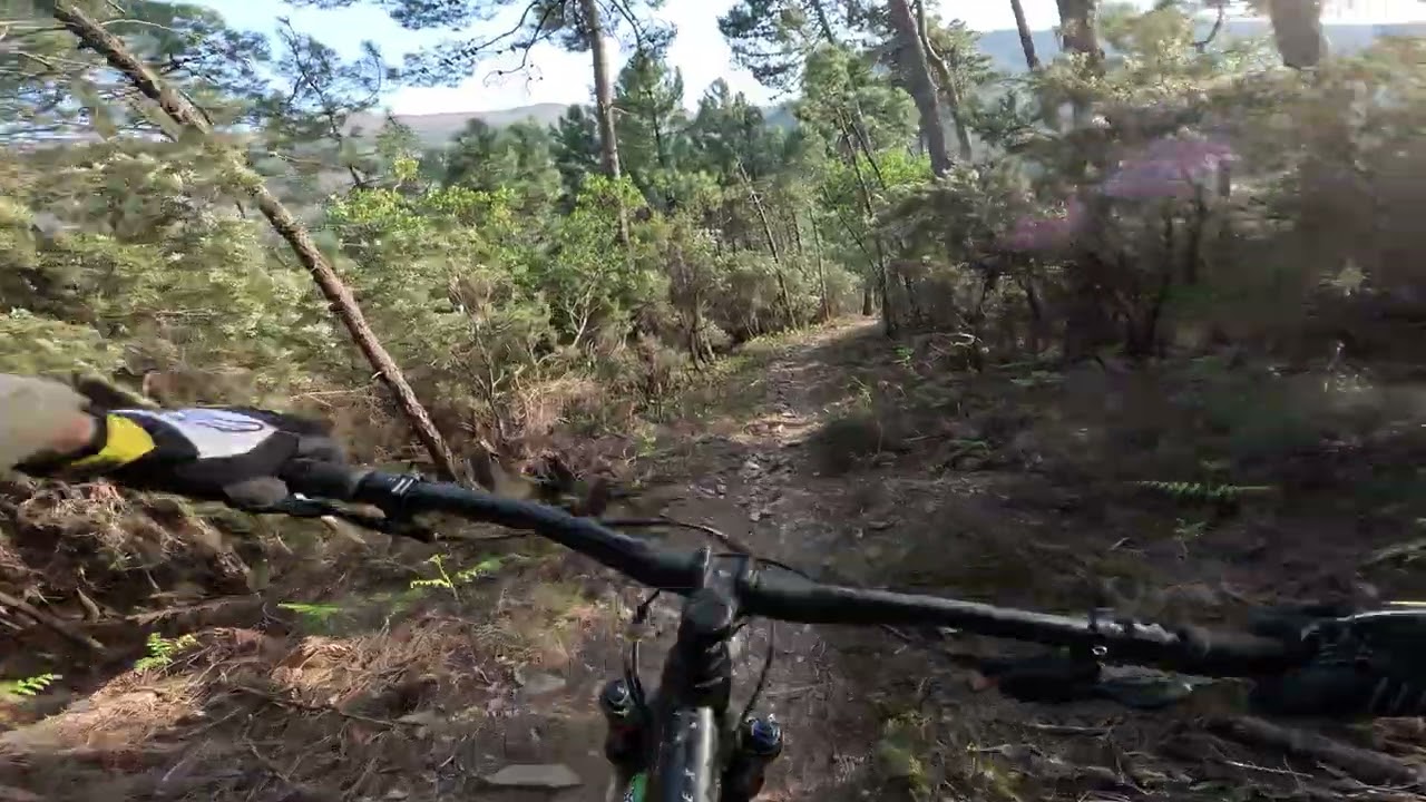 Vorno trail area mtb - Ficus