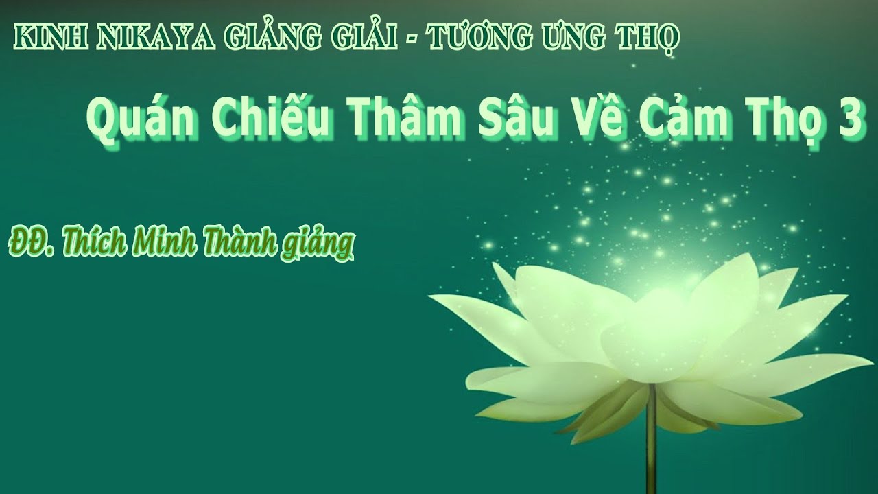 Kinh NIKAYA Giảng Giải - Tương Ưng Thọ - Quán Chiếu Thâm Sâu Về Cảm Thọ 3
