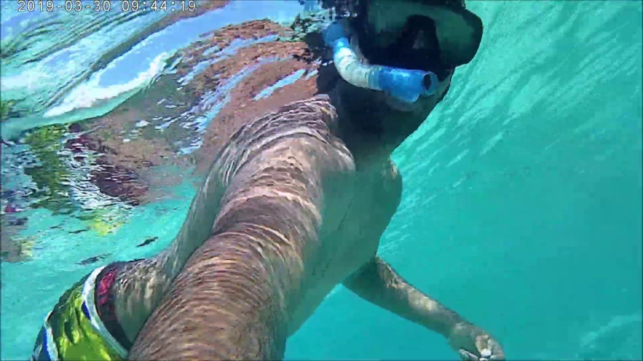 Snorkeling at Point Gerome - Mauritius