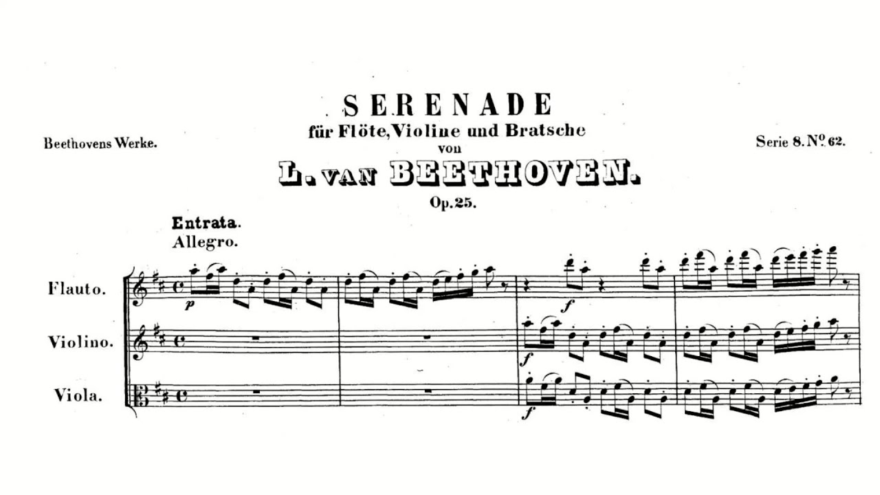 Beethoven: Serenade for flute, violin and viola in D major, Op. 25 (with Score)