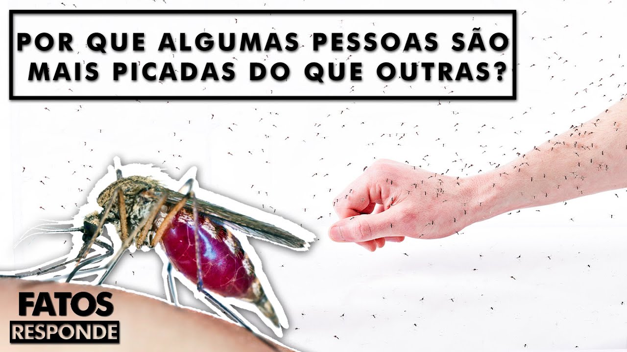 Por que algumas pessoas s&atilde;o mais picadas por  mosquitos do que outras? - FATOS RESPONDE