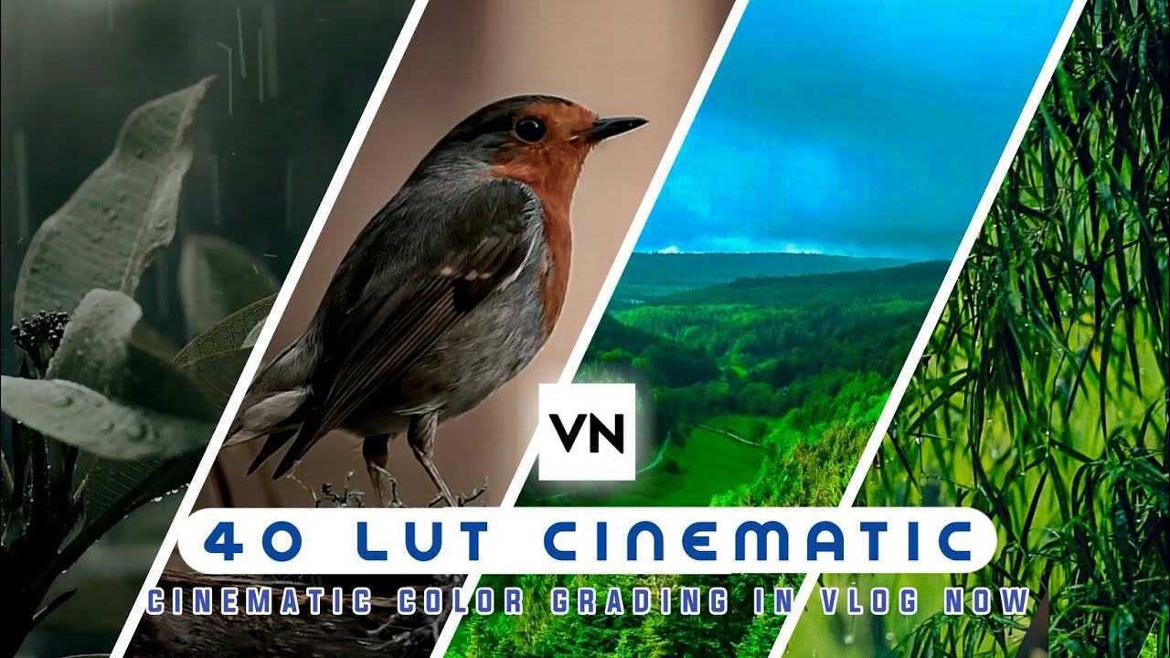 CINEMATIC LUT VN || FREE DOWNLOAD 40 PRESET LUT VN