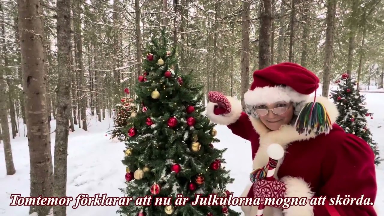 Tomtemor och Nissarna sk&ouml;rdar Julkulor