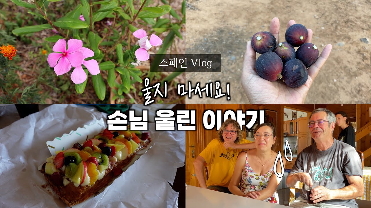 우리 집에 놀러 온 남편 상사 아내분을 울렸어요 (아이들 바다학교, 부부의 시간)