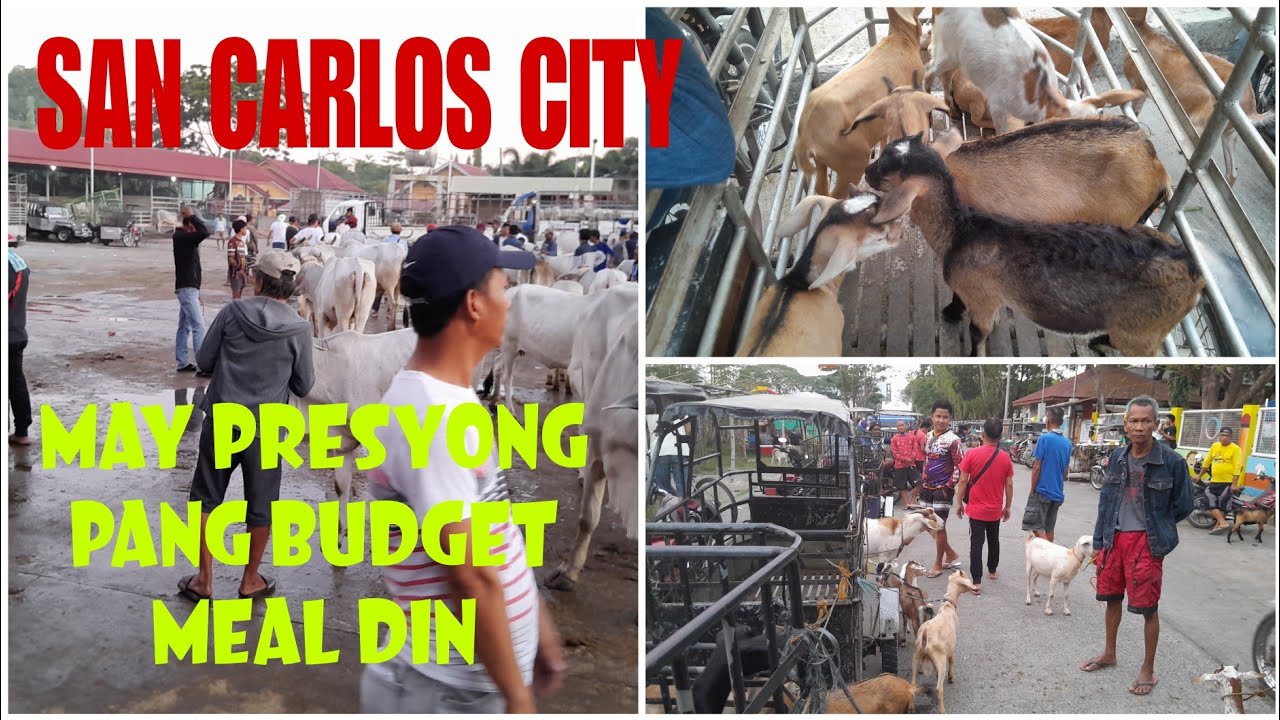 April 13, 2024 Update  Presyo ng Baka at Kambing  San Carlos Livestock Market in Pangasinan