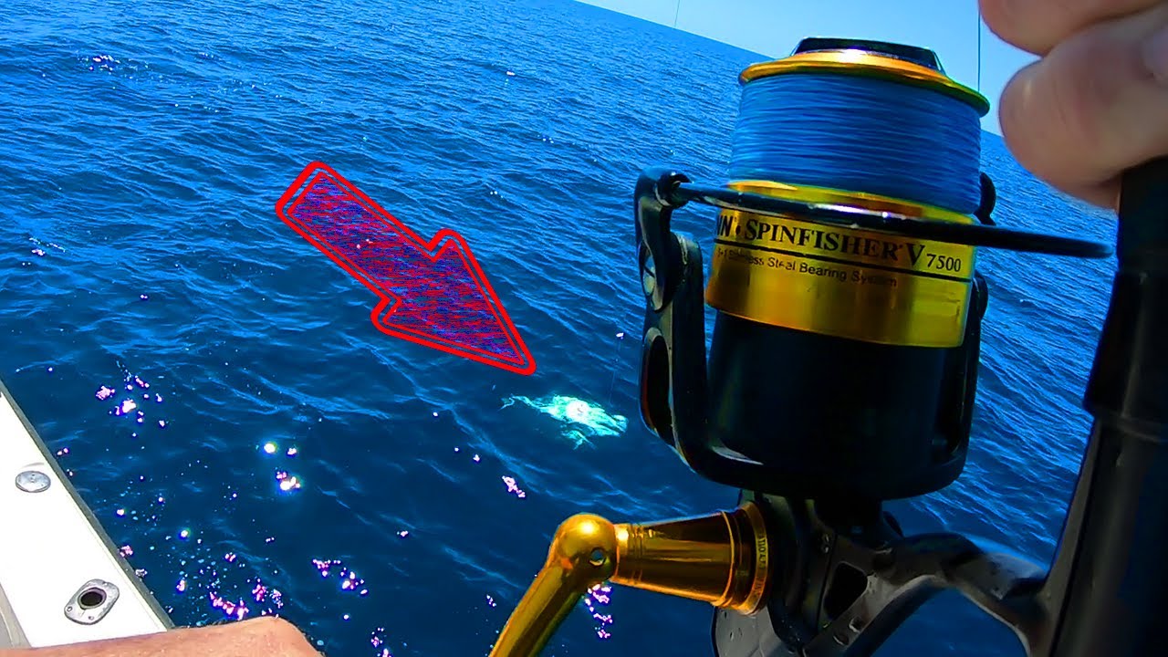 GIANT FISH - Catch And Cook - (Best Recipe) Fishing in the Ocean! PART 3