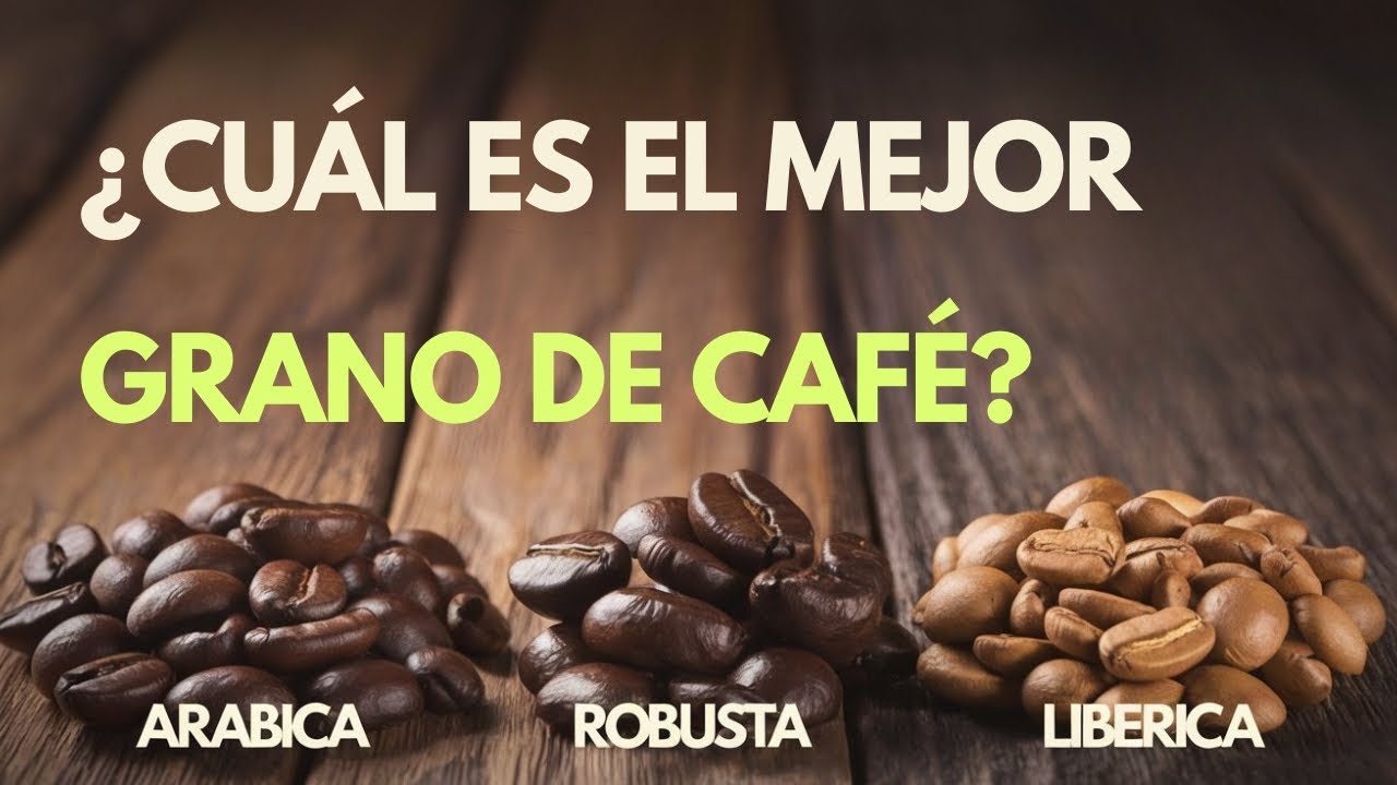 Arábica vs Robusta vs Liberica – Granos de Café Explicados
