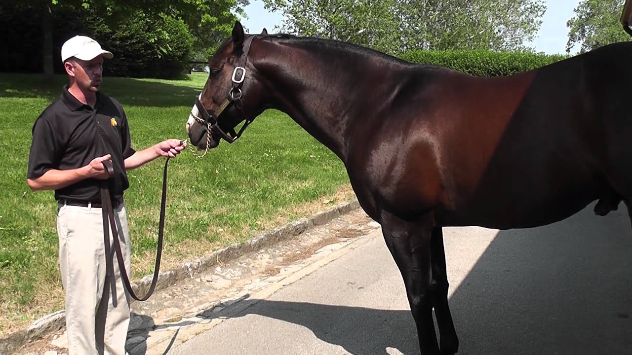 Claiborne Farm Tour - June 2012