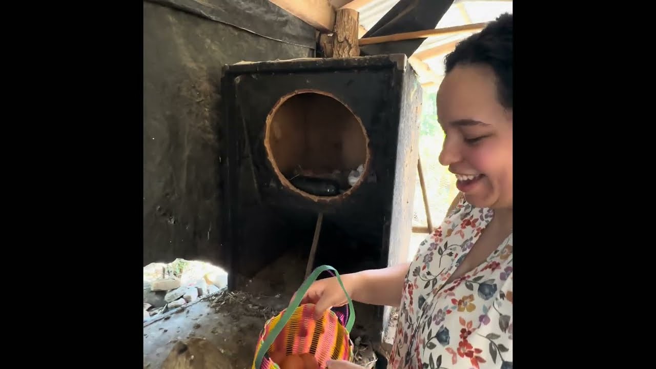 RECOGIENDO LOS HUEVOS DE LA MINI GRANJA DE LA SUEGRA