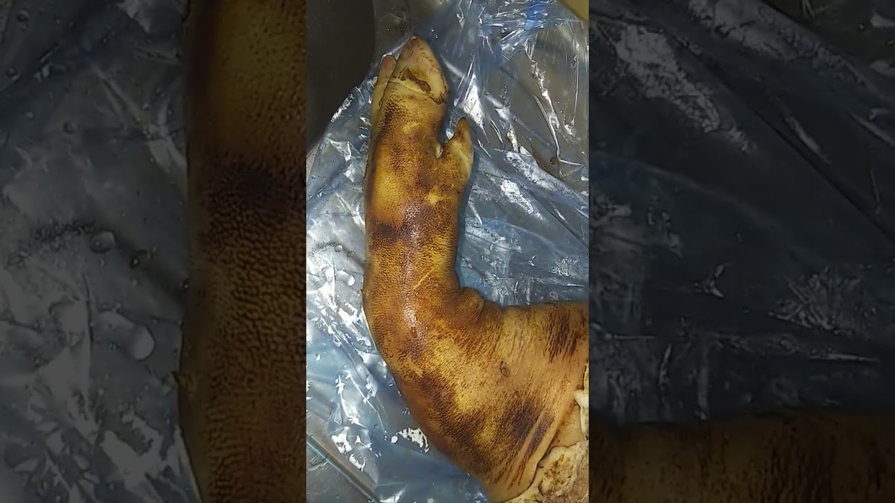 Chân giò heo phía trước - nguyên cái. 