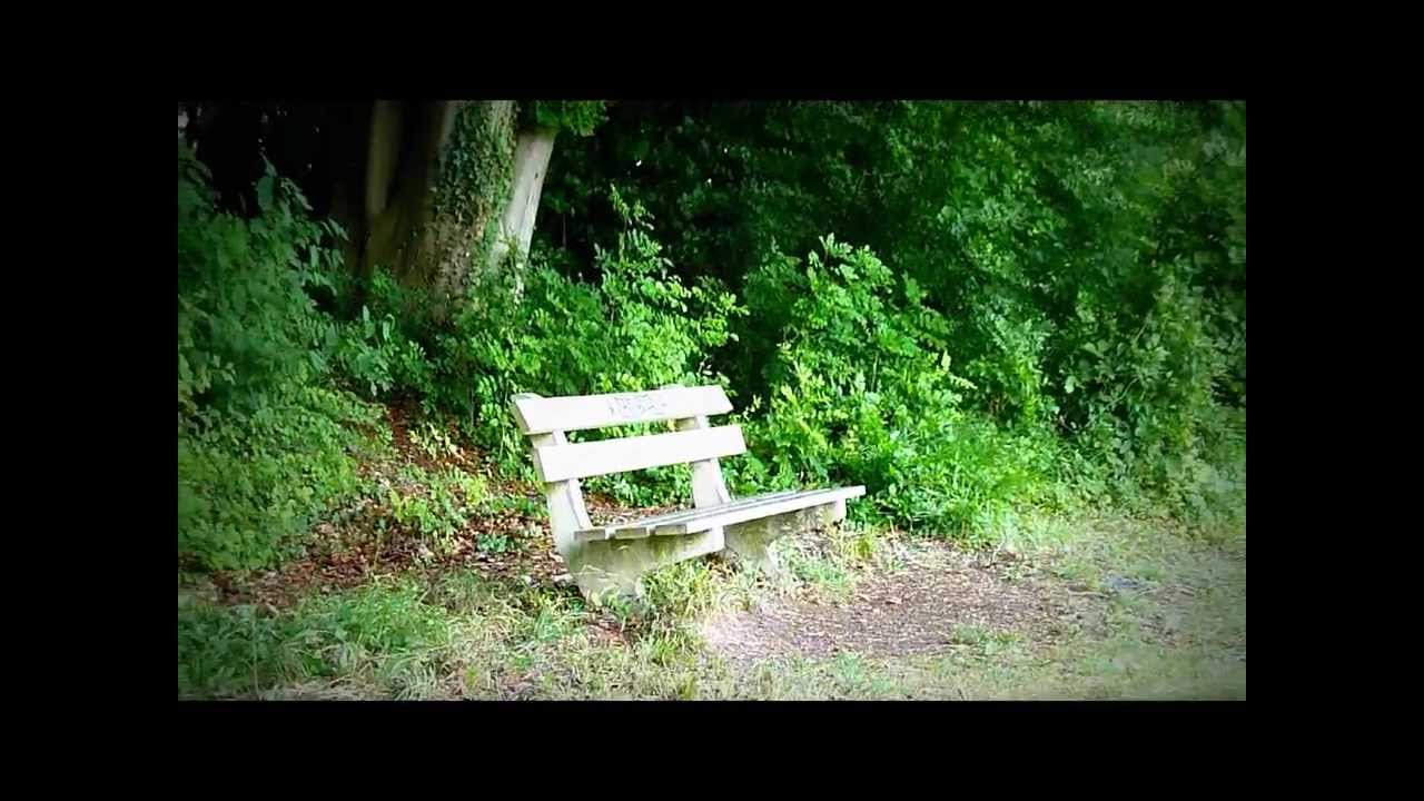 Bankje op de Sousberg