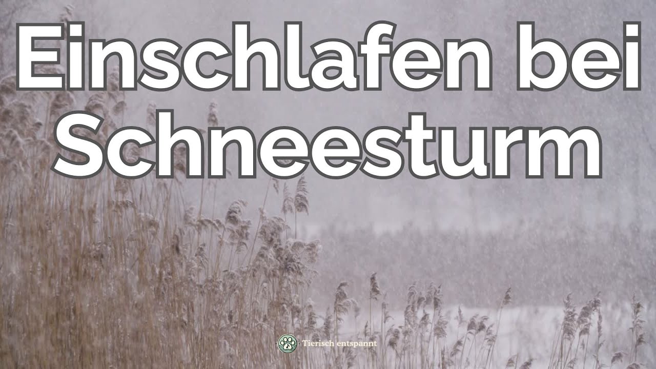 Sofort entspannende Einschlafmusik & Schneesturm | Tiefe Entspannung und guter Schlaf
