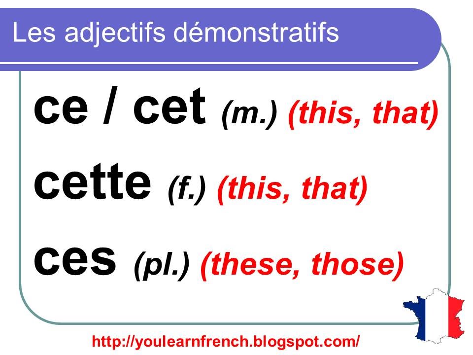 French Lesson 93 - Demonstrative Adjectives THIS THAT - Adjectifs d&eacute;monstratifs CE CET CETTE CES.