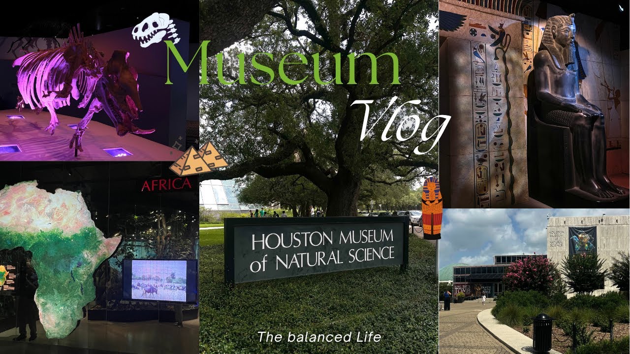 No Words, Just Wonder ✨ | Silent Tour of the Houston Museum of Natural Science 🦖🌌