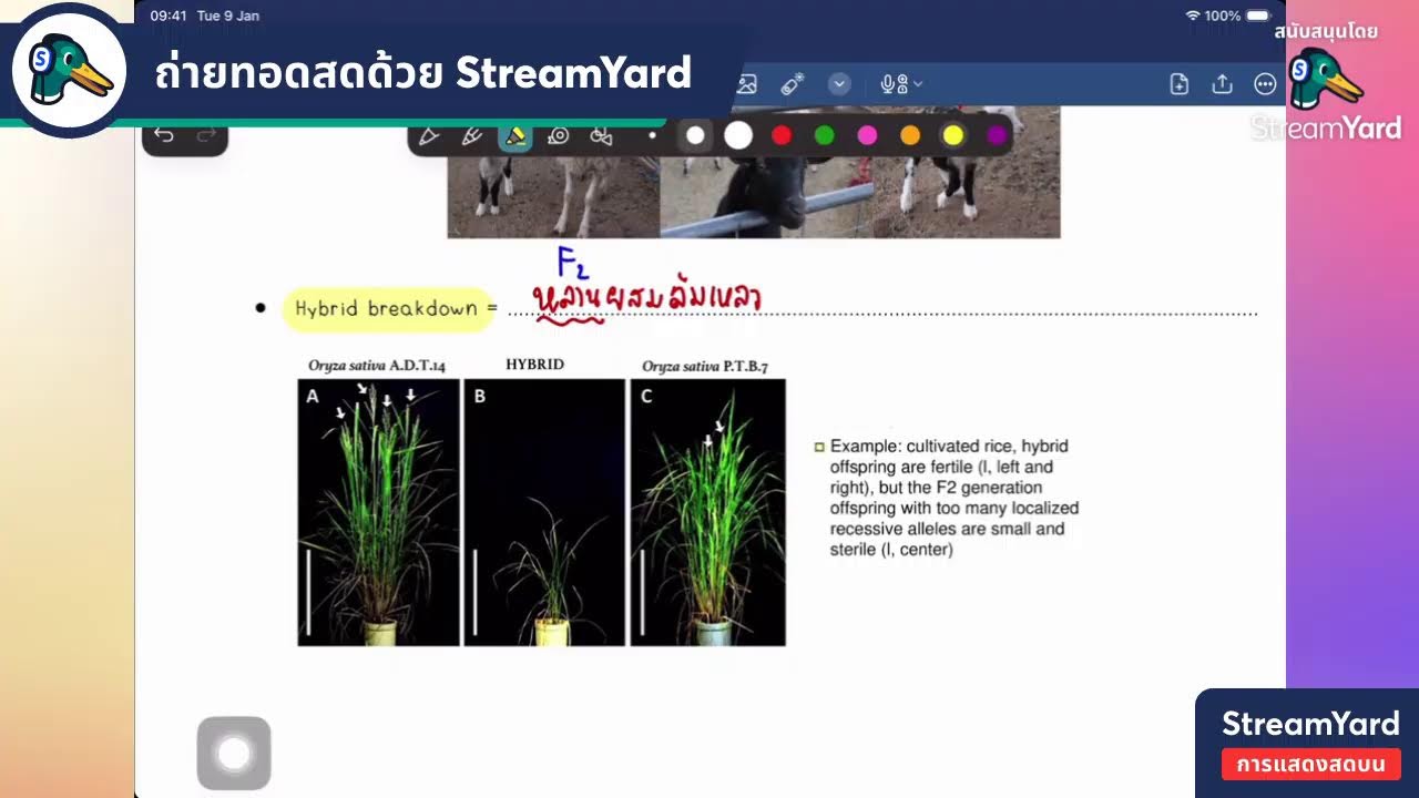 Bio M.4 SEC - วิวัฒนาการจุลภาคและการเกิดสปีชีส์
