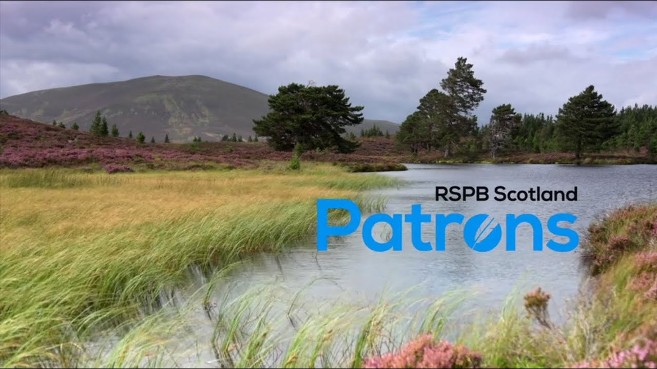 RSPB Scotland | Colin Prior workshop
