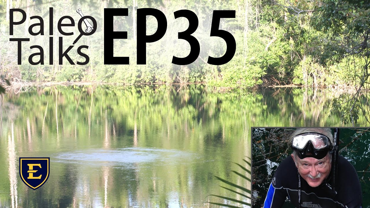 Giant Sloth Bones and the Cenote of Doom with Greg McDonald [Paleo Talkes EP35]