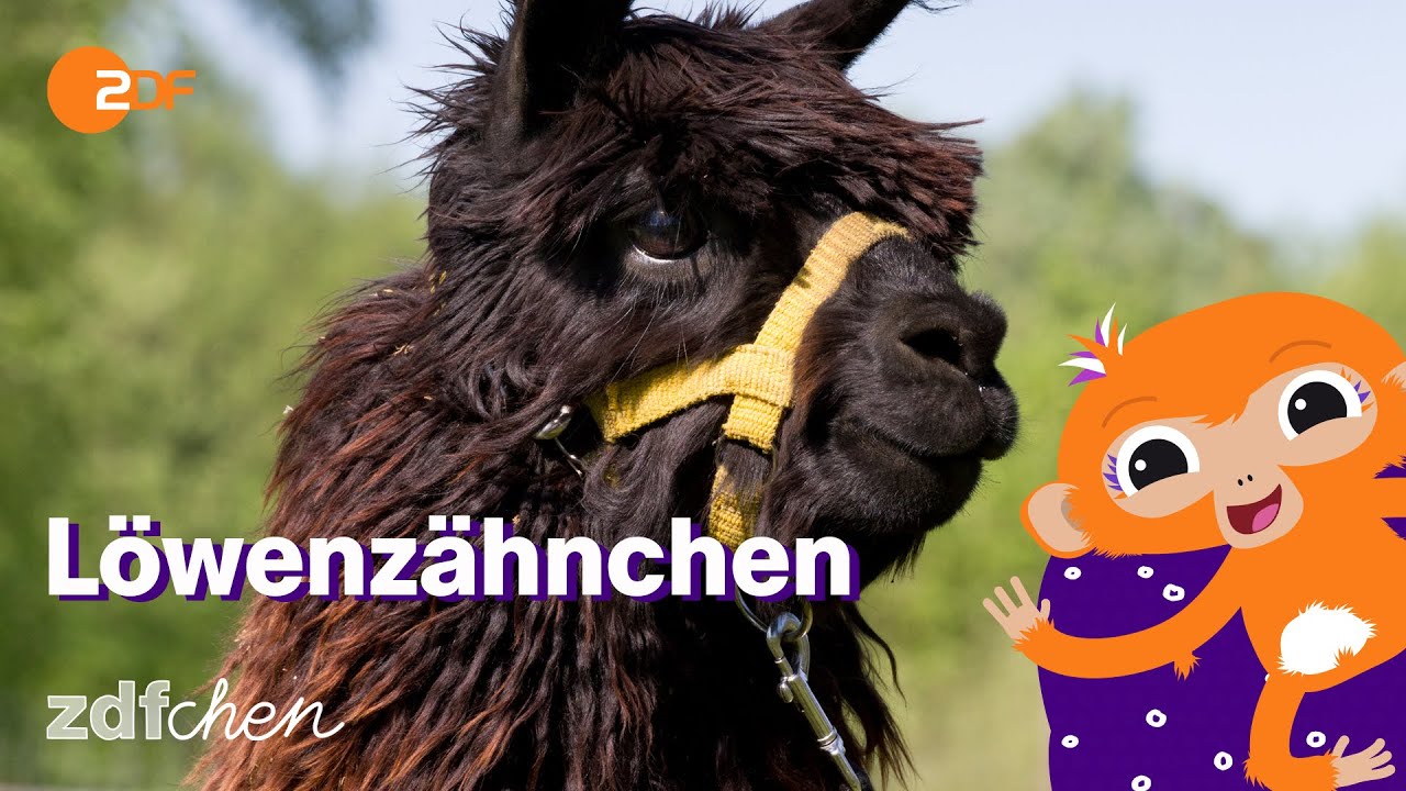 Alpaka (Mini) | LÖWENZÄHNCHEN | ZDFchen