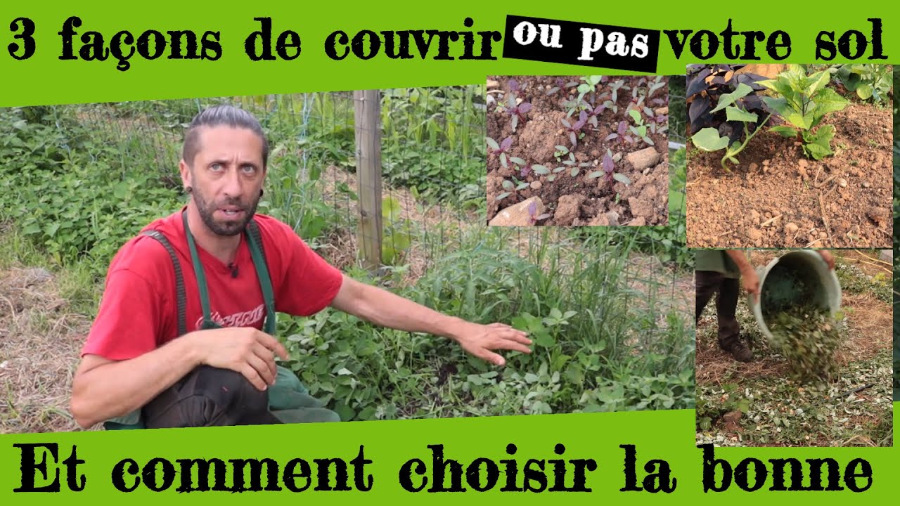 3 façons de couvrir (ou pas) votre sol. Comment choisir la bonne !