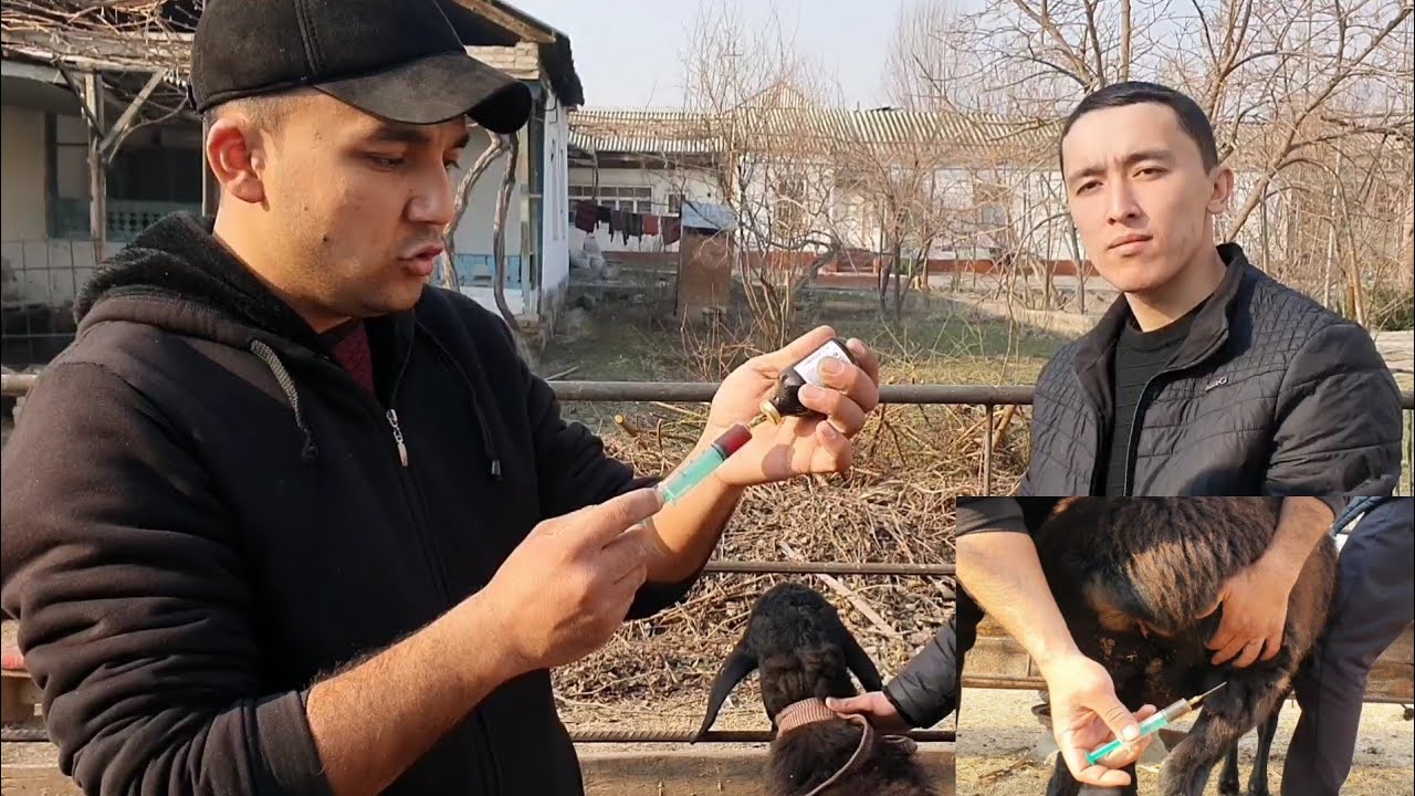 УЙ ШАРОИТИДА ЕМЛАМА ҚИЛИШ ВА ЖУН ТЎКИЛИШ САБАБЛАРИ БУНА