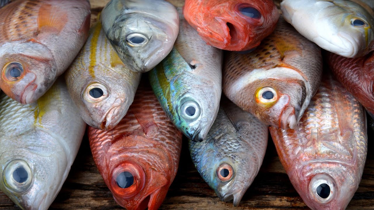 12 Pescados Baratos Que No Deber&iacute;as Comer Nunca