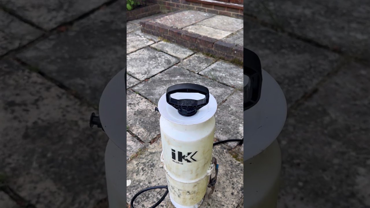 Patio Black Spot Remover on Indian Sandstone #clean #cleaning #cleanme #renovation #diy
