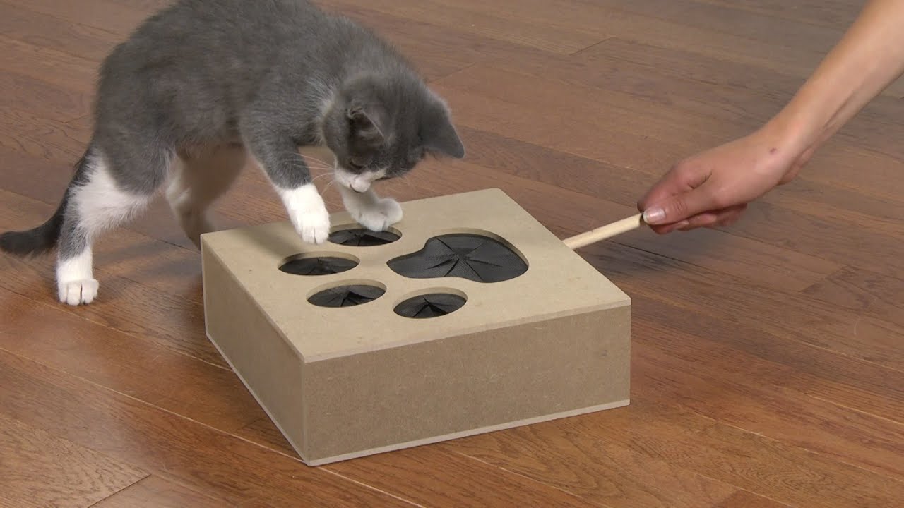 Whack-A-Mouse Cat Toy (DrsFosterSmith)
