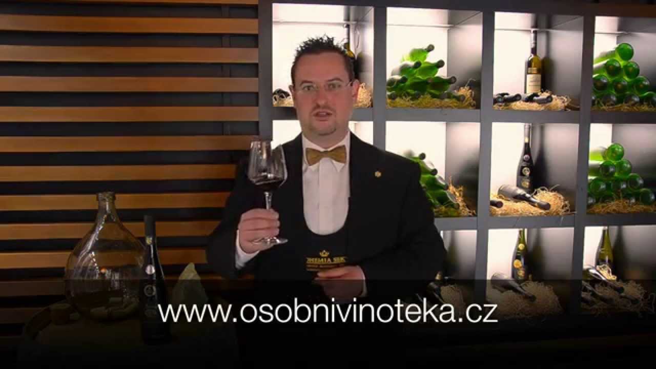 Zweigeltrebe z Habánských sklepů