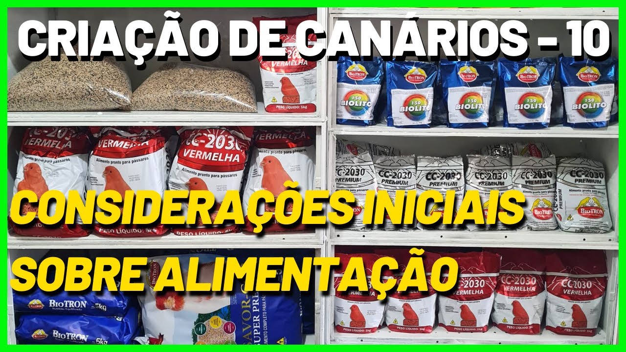 CONSIDERAÇÕES INICIAIS SOBRE ALIMENTAÇÃO DO CANÁRIO DOMÉSTICO - BELGA