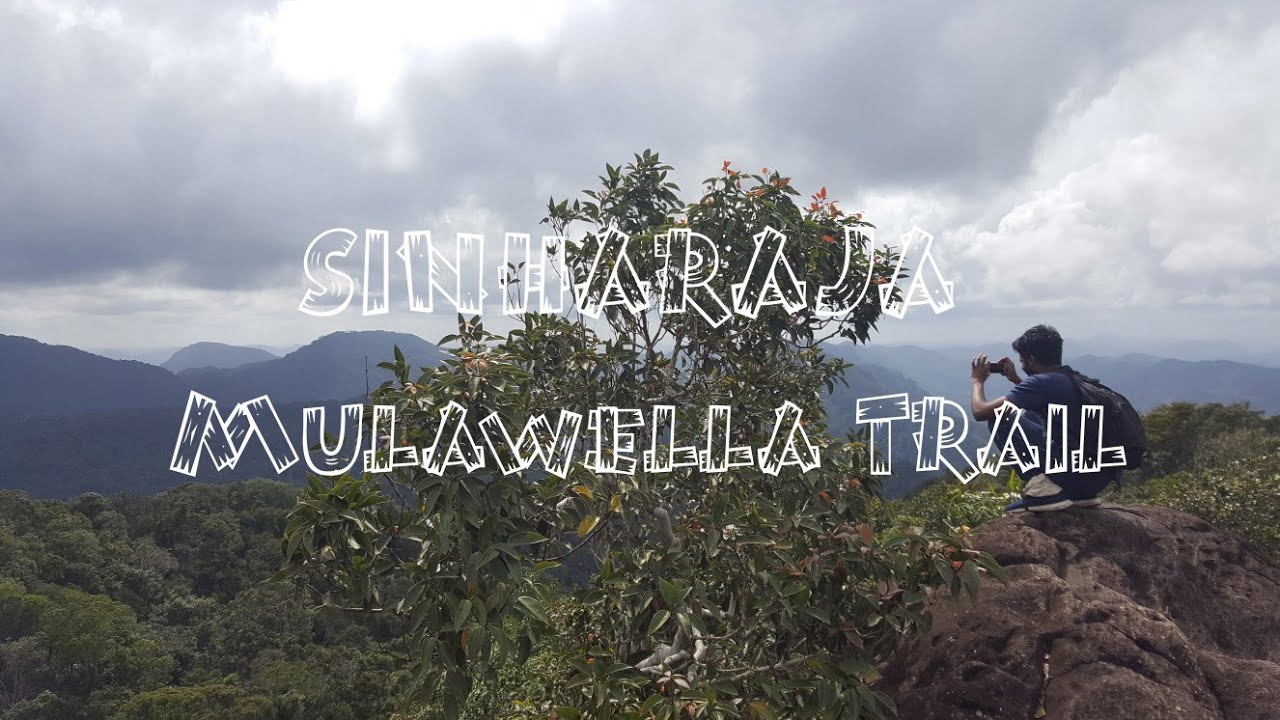 Sinharaja - Mulawella Trail (2018)